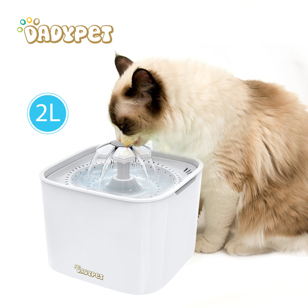 Dadypet Pet Dog Water Fountain Electric Water Bowl Auto Cycle with Filter 2L Cat Water Fountain 2W Pump for Cats Dogs Birds