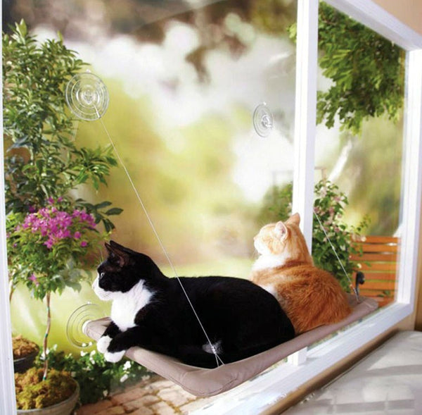 Cute Pet Hanging Beds Bearing 20kg Cat Sunny Seat Window Mount Pet Cat Hammock Comfortable Cat Pet Bed