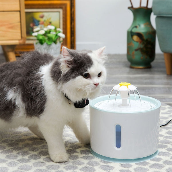 Cat Automatic Feeder Drink Filter Automatic Cat Water Fountain For Pets Water Dispenser Large Spring Drinking Bowl