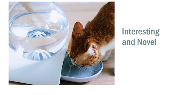 Bubble Automatic Cat Water Fountain For Pets Water Dispenser Large Drinking Bowl Cat Drink 2.8L No Electricity